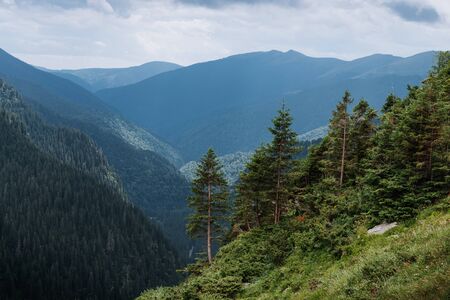 summer mountains green grass and blue sky landscape. mountain panoramaの写真素材