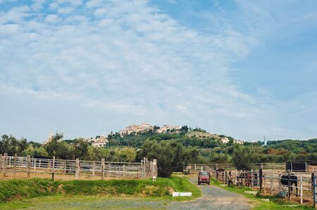 Traditional country landscape in Tuscany Italy. Scenic view of an olive grove on a hill in springtime with green lawn and cloudy blue sky, Italyの写真素材