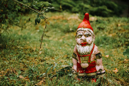 Garden gnome in an autumn garden in the grassの写真素材