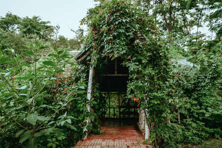 Rural back yard with beautiful viewの写真素材