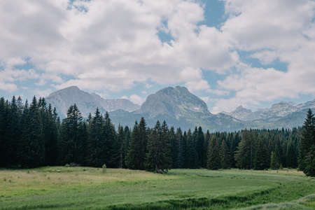 Black Lake (Crno Jezero) in Durmitor - Montenegro - nature travel background. Black Lake, Durmitor National Park. Montenegro. Beautiful dark blue lakeの写真素材