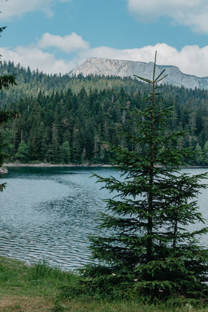 The lake is high in the mountains, spruces and pines grow on the slopes of the mountains, houses are visible on the hills in the distance, mountains and trees are reflected in the water, summer, sunny. evergreen spruce, mountains and lake.の写真素材