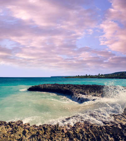 Wild caribbean beach. Dominican republic. tropical sand beach in dominican republic. tranquil resort. Palm trees on the tropical beach, Caribbean Sea. beach in sunset time on island in Seychellesの写真素材
