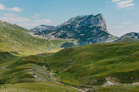 Mountain valley during sunrise. Natural summer landscape. Mountain peak green nature scenery. green hill landscapeの写真素材