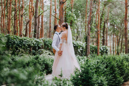 Sensual portrait of a young couple. Wedding photo outdoor. Wedding shot of bride and groom in park. Just married couple embraced.の写真素材