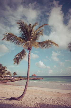 Tropical Paradise. Dominican Republic, Seychelles, Caribbean, Mauritius, Philippines, Bahamas. Relaxing on remote Paradise beach. Vintage.の写真素材