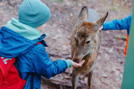 Cute child feeding a fawn. Cute little boy is feeding a baby fawn in the forest. Image with selective focus. The boy feeds the deer with leaves, the reserve, wild animals, the connection of animals with people. Pretty boy with graceful animal at park. Kids adaptation.の写真素材