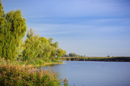 beautiful lake at the evening. Landscape - meadow, the blue sky and riverの写真素材