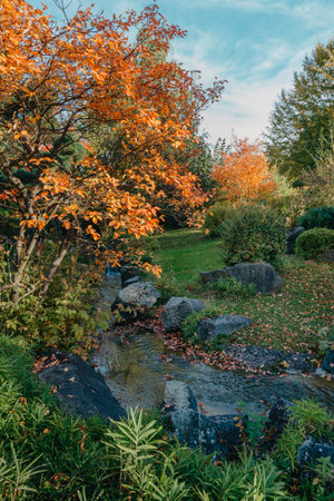 Autumn creek woodland with sunny yellow trees foliage rocks in forest mountain. Idyllic travel hiking landscape, beautiful seasonal autumn nature. Amazing dream scenic colorful outdoor inspire nature. Beautiful waterfall at mountain river in colorful autumn forest with red and orange leaves at sunset. Nature landscapeの写真素材