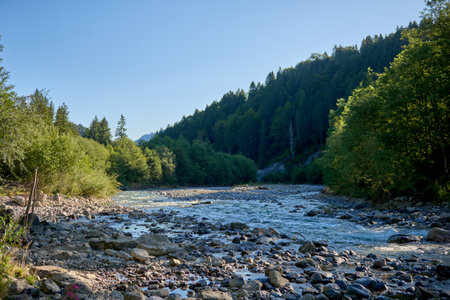 Alpine Oasis: A Mountain Rivers Journey through Rocky Shores and Forests. Alpine River, Rocky Shores, and Towering Forests. Nature, Mountain River, Spruce Forests, and Alpine Wilderness. Eco-Wonderland: Alpine River Flowing through Pristine Rocky Shores. Alpine Elegance: River, Forests, and the Majesty of Summer Mountainsの写真素材