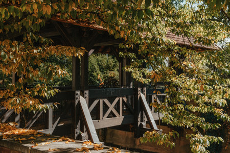 A wooden bridge in the park with and autumn colors of Bietigheim-Bissingen, Germany. Europe. Autumn landscape in nature. Autumn colors in the forest. autumn view with wooden bridge over stream in the park in autumn season.の写真素材