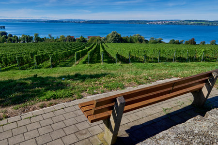 Bench Amidst Vineyards, Overlooking a Mountain Lake and Peaks. Resting Bench with Grapevines, Mountain Lake, and Distant Peaks. Natures Vista: Tranquil Bench on Hillside, Framing Mountain Lake and Majestic Peaks. Panoramic Perch: Hilltop Bench with Vineyard Views and a Mountainous Backdrop. Serenity Spot: Relaxing Bench on Hillside, Offering a View of Mountains and a Lakeの写真素材
