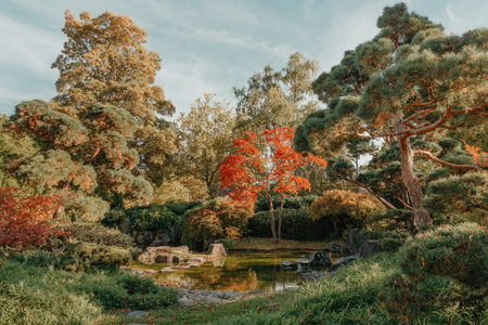 Beautiful Japanese Garden and red trees at autumn seson. A burst of fall color with pond reflections.の写真素材