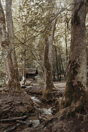 Tranquil Riverside Retreat: Wooden Cabin in Black Forest Amidst Picturesque Mountain Landscape....