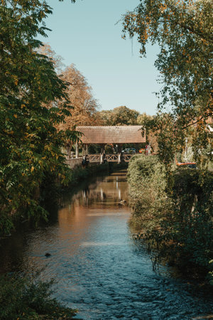 A wooden bridge in the park with and autumn colors of Bietigheim-Bissingen, Germany. Europe. Autumn landscape in nature. Autumn colors in the forest. autumn view with wooden bridge over stream in the park in autumn season.の写真素材