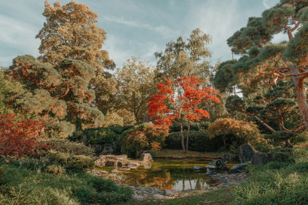 Beautiful Japanese Garden and red trees at autumn seson. A burst of fall color with pond reflections.の写真素材