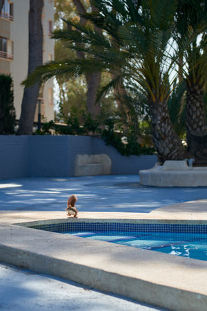 Charming Wildlife Moment: Squirrel Quenching Thirst at Poolside Oasis with Palm Trees Under Sunny Summer Sky. Playful Squirrel at Pools Edge: Delightful Encounter Amidst Tropical Palms and Clear Blue Summer Skiesの写真素材