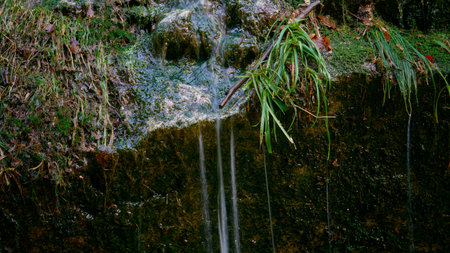 Pristine mountain stream cascades through lush green vegetation in tropical rainforest environment....
