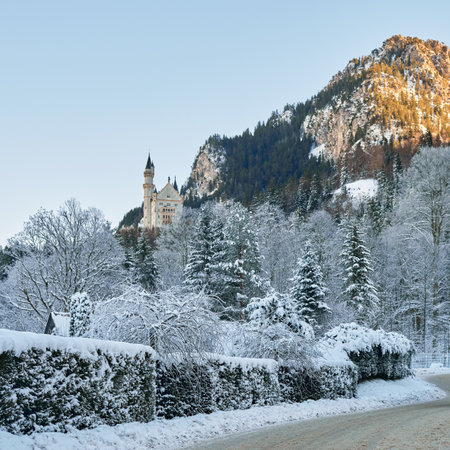 Castle in Snowy Winter Forest with Gothic and Renaissance Architecture, Surrounded by Snow-Laden Evergreen Trees and Clear Blue Sky on a Tranquil Morningの写真素材