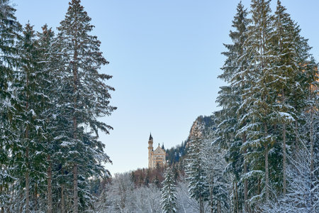 Neuschwanstein Castle in Snowy Winter Forest with Gothic and Renaissance Architecture, Surrounded by Snow-Laden Evergreen Trees and Clear Blue Sky on a Tranquil Morningの写真素材
