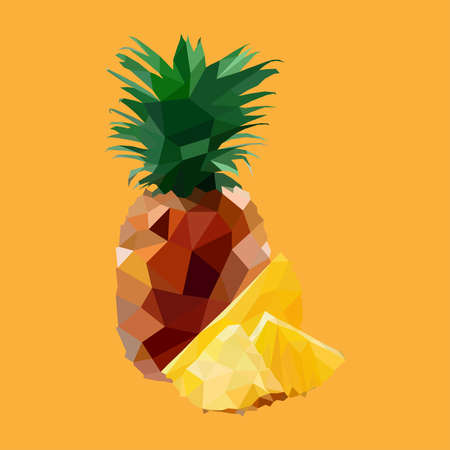 Polygonal simple exotic Fruits. Pineapple in Vectorのイラスト素材