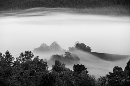 Mist over the meadow, autumn morning landscape, black and white photoの写真素材