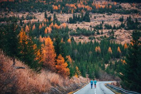 Male couple while running training in autumn nature. Back view