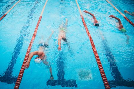 Professional competitive swimmers together train in swimming pool.の写真素材