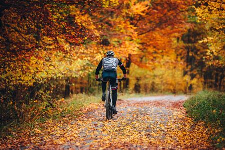 MTB Biker Ride in colorful autumn forest.slovakiaの写真素材