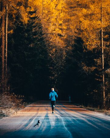 Runner training on the road in beautiful autumn nature. Orange trees all aroundの写真素材