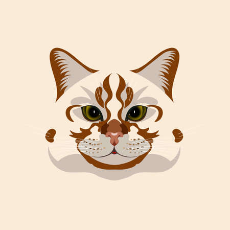 Decorative cat face. Separate illustration for printing on various materials.のイラスト素材