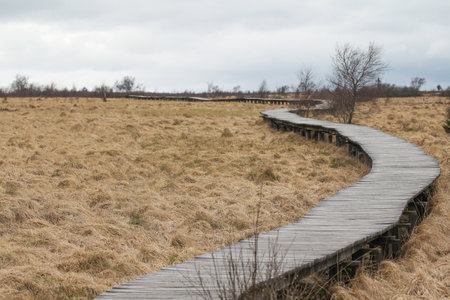Wooden walkway in the field on a cloudy day