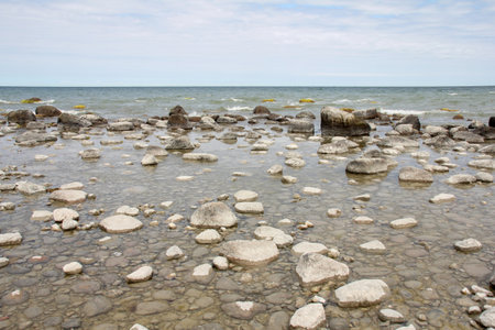 rocky sea shore in the summer on a background of blue skyの写真素材