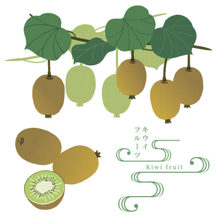 Hand drawn kiwifruits illustration
Japanese traditional patternのイラスト素材