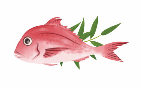 Tilefish illustration
Watercolor touchの写真素材