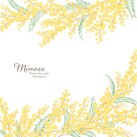 Hand-drawn illustration of mimizaの写真素材