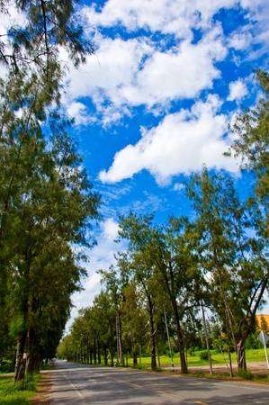 wayの写真素材