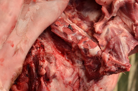 Raw Pork ribs.