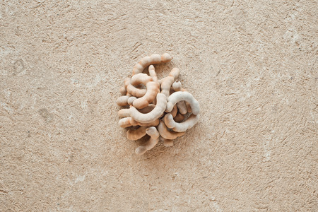 tamarindの写真素材