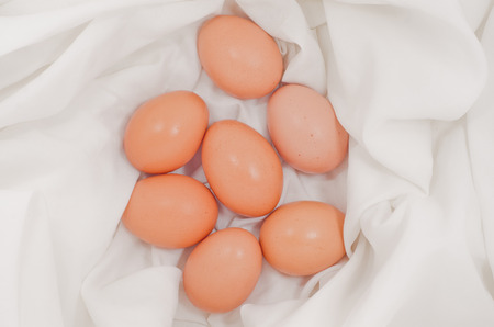Eggs on fabric White.Chicken eggs on white fabric.easter eggs on fabric with copy space.の写真素材