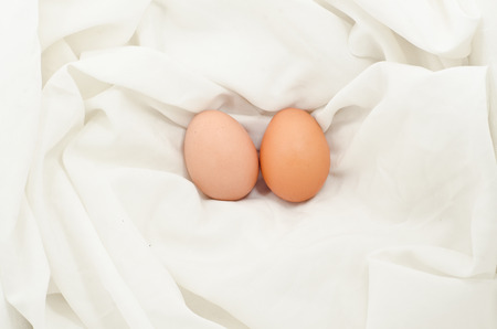 Eggs on fabric White.Chicken eggs on white fabric.easter eggs on fabric with copy space.の写真素材
