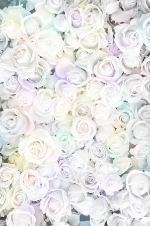 Blurred of sweet roses in pastel color style on soft blur bokeh texture for backgroundの写真素材