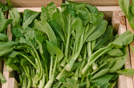 Choy sum vegetable on display for sale at a luxurious marketの写真素材
