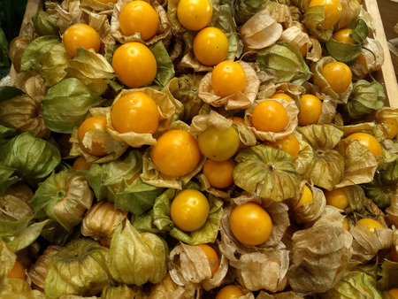 Group Gooseberry from the top view, choose focusの写真素材