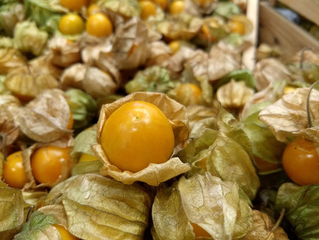 Group Gooseberry from the top view, choose focusの写真素材