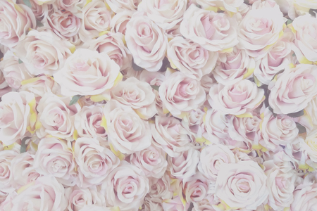 Unfocused blur rose petals,Summer blossoming delicate rose on blooming flowers festive background, pastel and soft bouquet floral cardの写真素材