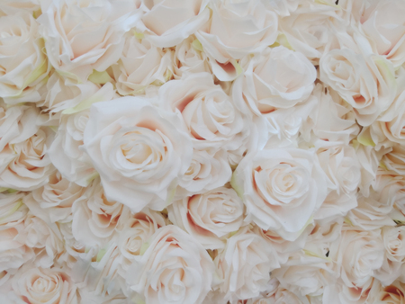 Unfocused blur rose petals,Blurred of sweet roses in pastel color style on soft blur bokeh texture for backgroundの写真素材