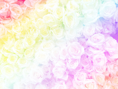 Blurred of sweet roses in Rainbow color style on soft blur bokeh texture for backgroundの写真素材