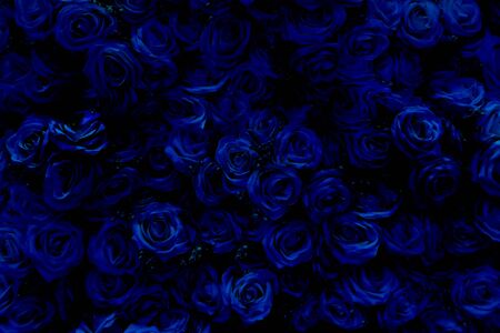 Blurred of Classic blue Roses color style on soft blur bokeh texture for backgroundの写真素材