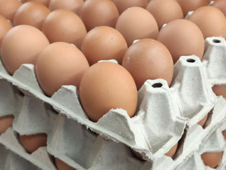 Fresh eggs sold on the street market stallの写真素材